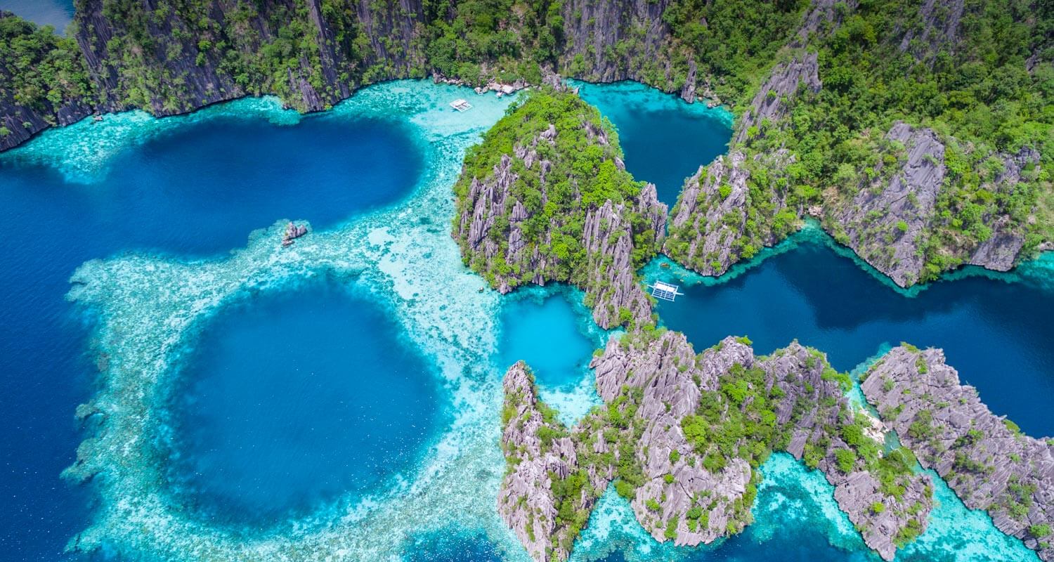 A diver exploring a colourful reef in the Philippines